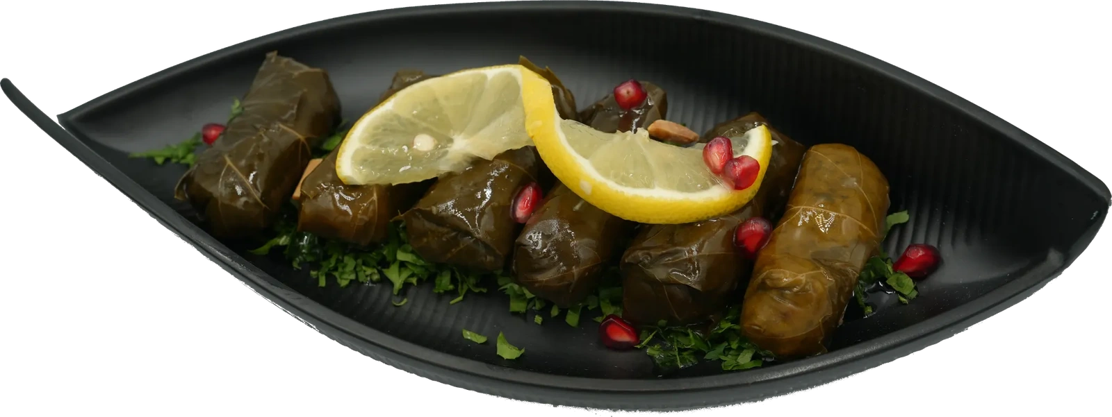 الريوق 6